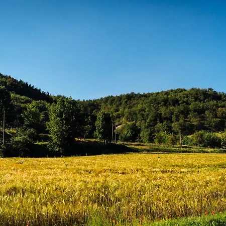 Azienda Agricola Degianne Lägenhet Dego