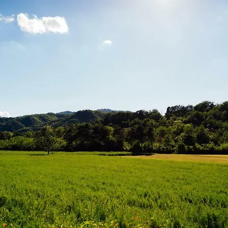 Azienda Agricola Degianne Lägenhet