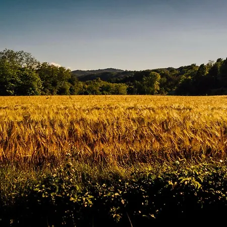 Azienda Agricola Degianne *