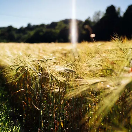 Lägenhet Azienda Agricola Degianne