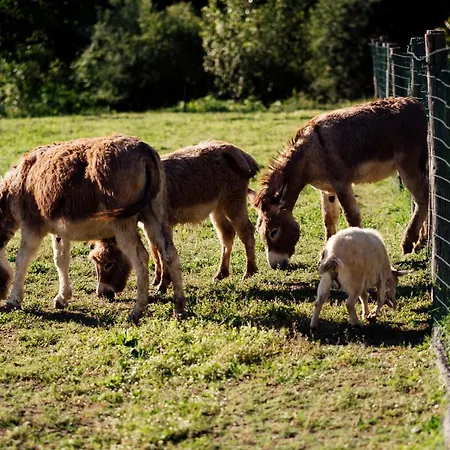 Lägenhet Azienda Agricola Degianne Dego